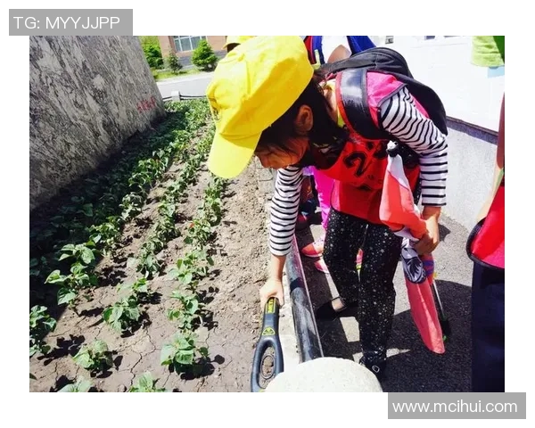 加斯奎特与安德森对决精彩回顾及赛后分析