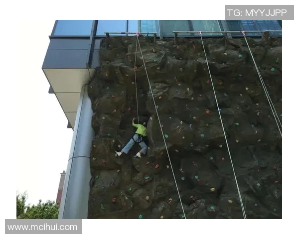 重庆攀岩队力量表现数据分析揭示训练效果与运动员潜力的关系